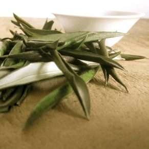 Olive Leaf Tea - Herbal Tea - Cardiovascular, Catch, Diarrhea, Immune System, Kogan, spo-default, spo-disabled - Tea Life™
