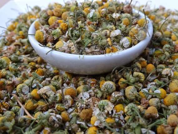 Chamomile Tea FB - Herbal Tea - 3rdparty, Anti-inflammatory, Anxiety and Stress, Caffeine Free, Catch, Kogan, Relaxation, Sore Throat, spo-default, spo-disabled - Tea Life™