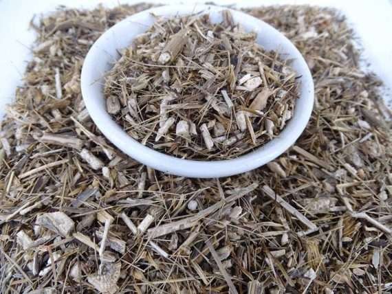 Echinacea Root Australian Grown Tea - Herbal Tea - Anti-inflammatory, Arthritis, Caffeine Free, Catch, Common Cold, General Health, Immune System, Kogan, Native, Sore Throat, spo-default, spo-disabled - Tea Life™