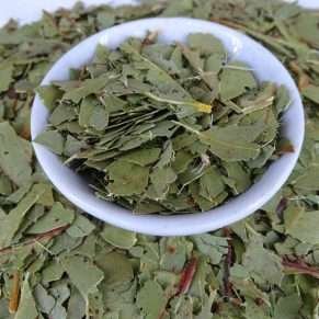 Eucalyptus Blue Gum Leaf Tea - Herbal Tea - Anti-inflammatory, Caffeine Free, Catch, Common Cold, General Health, Kogan, Native, Respiratory, spo-default, spo-disabled - Tea Life™