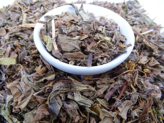 Milk Thistle Leaf Tea - Herbal Tea - Caffeine Free, Catch, Kogan, Liver, spo-default, spo-disabled - Tea Life™